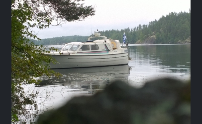 Albatross Flying 871-kuva-3